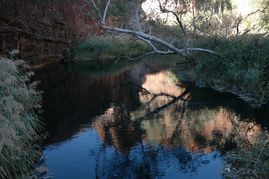 Springs